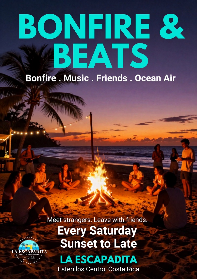 Cinematic Bonfire & Beats Beach Poster - 1